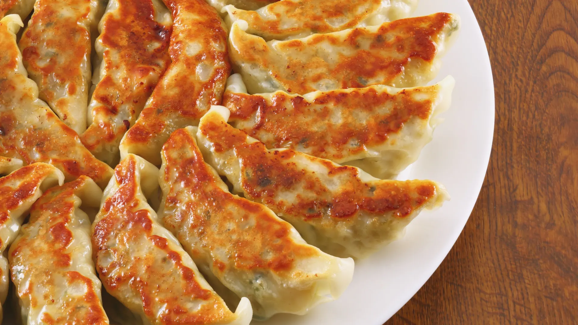Golden crispy pan-fried dumplings on white plate at Dumpling Legend, a Chinese Restaurant in Lakewood