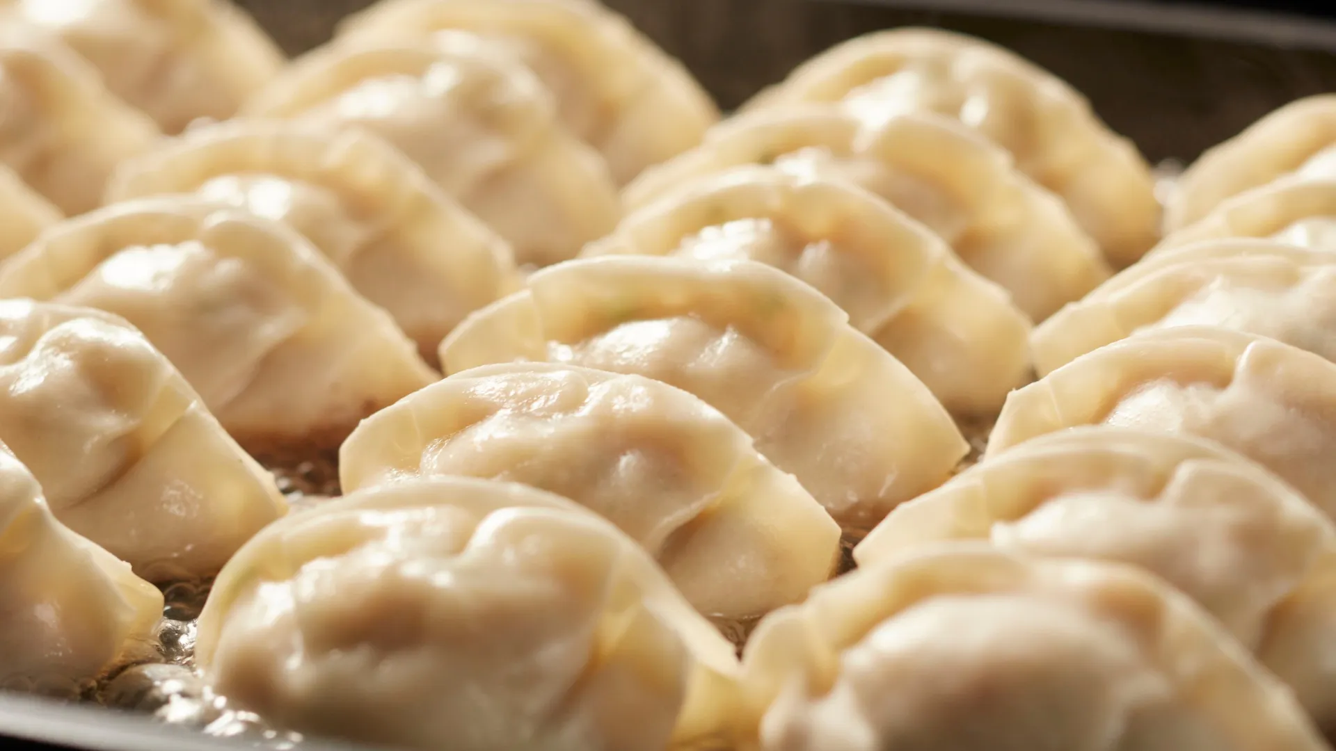 Multiple pan-fried dumplings simmering with oil bubbles at Dumpling Legend, a Chinese Restaurant in Lakewood